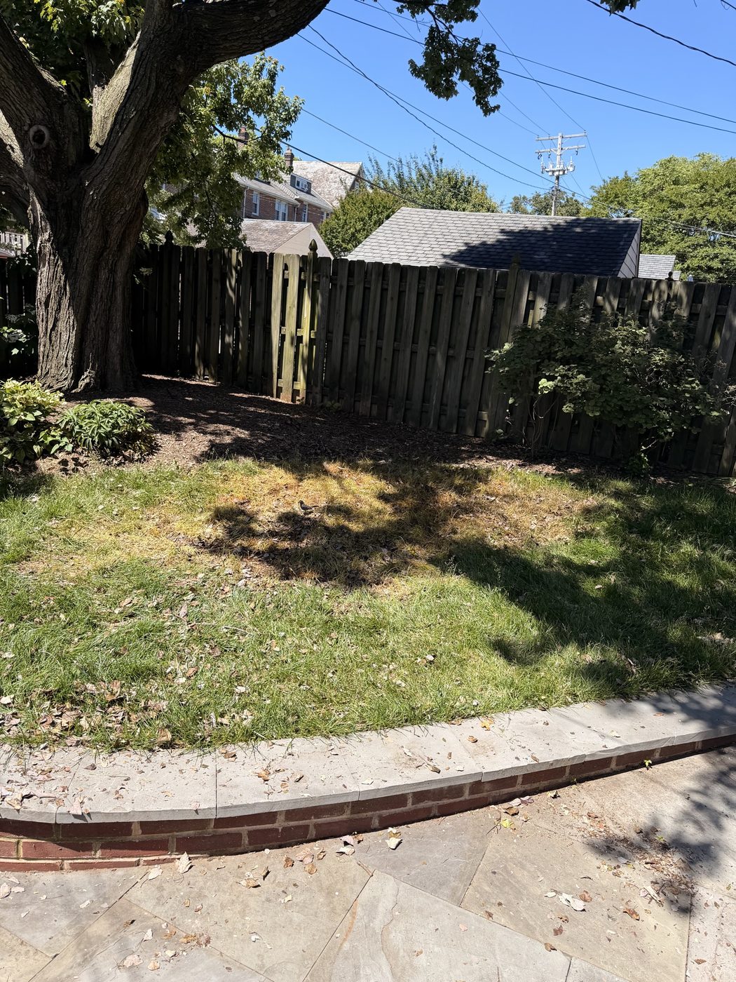 Cleared yard after the brush pile was hauled
